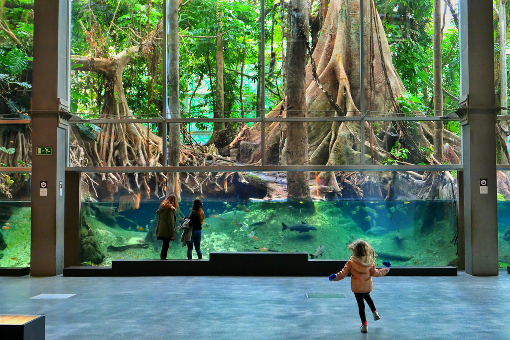 CosmoCaixa (Barcelona, Spain) 